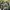 Made in USA Vintage Streetwear Pria green khaki photo 2