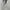 Japanese brand Gorpcore Parka Pria green photo 6