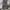 Levi's Vintage Streetwear Jeans Pria gray photo 1