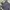 Levi's Vintage Streetwear Jeans Pria gray photo 3