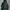 Uniqlo Casual Hoody Pria green photo 1