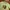 New Balance Sportswear T-shirt Wanita multicolor photo 3
