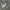 Nike Casual Hoody Pria gray photo 4