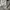 Adidas Casual Hoody Pria gray photo 5