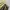 Japanese brand Streetwear Sportswear Pria khaki photo 5