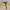 Japanese brand Streetwear Sportswear Pria khaki photo 4
