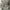 Casual Hoody Pria gray photo 4