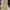 Japanese brand Vintage Grunge Pria khaki photo 7