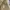 Japanese brand Vintage Grunge Pria khaki photo 5