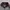Von Dutch Luxury Track jacket Pria pink black photo 5