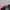 Von Dutch Luxury Track jacket Pria pink black photo 4