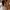 Charles and Keith Casual Bucket bag Wanita brown photo 2