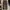 Japanese brand Streetwear Gorpcore Pria tan brown photo 3