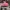 Sportswear Casual Hat Wanita pink photo 2