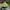 New Era Skater Casual Hat Pria green photo 1