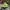 New Era Skater Casual Hat Pria Green