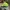 New Era Skater Casual Hat Pria green photo 2