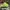 New Era Skater Casual Hat Pria Green
