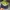 New Era Skater Casual Hat Pria green photo 5