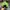 New Era Skater Casual Hat Pria green photo 3