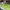 New Era Skater Casual Hat Pria green photo 6