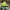 New Era Skater Casual Hat Pria green photo 4