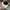 New Era Skater Casual Hat Pria navy photo 5