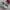 New Balance Indie Casual Sneakers Pria white gray photo 1