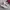 Salomon Gorpcore Sportswear Sneakers Wanita purple white photo 1