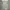 Adidas Streetwear Sportswear Sweatpants & Joggers Pria gray photo 4