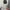 Adidas Streetwear Sportswear Sweatpants & Joggers Pria gray photo 2