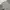 Adidas Streetwear Sportswear Sweatpants & Joggers Pria gray photo 5