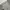 Adidas Streetwear Sportswear Sweatpants & Joggers Pria gray photo 6