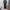 GU Streetwear Sportswear Sweatpants & Joggers Pria black photo 2