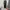 GU Streetwear Sportswear Sweatpants & Joggers Pria black photo 1