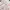 Lolita Coquette Crop top Wanita white pink photo 3