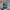 Casual Pria blue photo 1