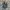 Levi's Vintage Streetwear Jeans Pria blue photo 4