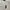 Polo Ralph Lauren Casual Polo shirt Pria cream photo 2