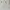Polo Ralph Lauren Casual Polo shirt Pria cream photo 1