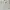 Polo Ralph Lauren Casual Polo Shirt Pria Cream