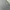 Casual Sweatshirt Pria gray photo 2