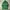 Kolon Sport Vintage Sportswear Parka Pria green photo 1