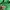 Kolon Sport Vintage Sportswear Parka Pria green photo 3