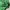 Kolon Sport Vintage Sportswear Parka Pria green photo 5