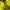 Japanese brand Y2K Sportswear Track jacket Pria yellow photo 4