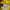 Japanese brand Y2K Sportswear Track jacket Pria yellow photo 2