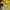 Japanese Brand Y2K Sportswear Track Jacket Pria Yellow