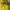 Japanese brand Y2K Sportswear Track jacket Pria yellow photo 3