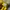 Japanese brand Y2K Sportswear Track jacket Pria yellow photo 7